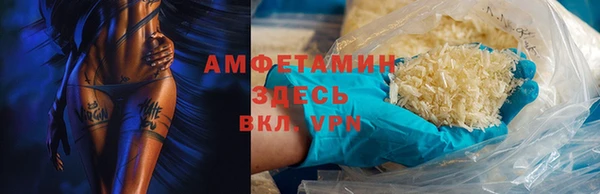 прущие грибы Волоколамск