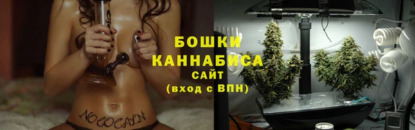 прущие грибы Волоколамск