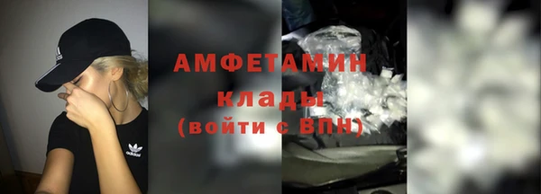 прущие грибы Волоколамск
