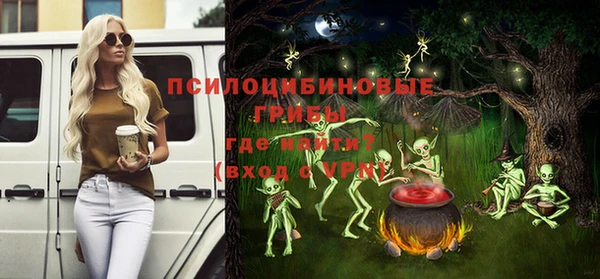 прущие грибы Волоколамск