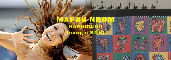 прущие грибы Волоколамск