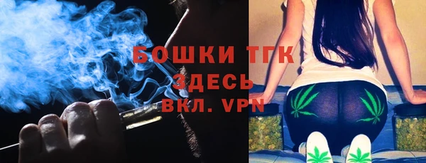 прущие грибы Волоколамск