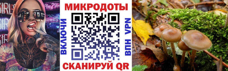 Галлюциногенные грибы мицелий  Купить где  Сосновка 